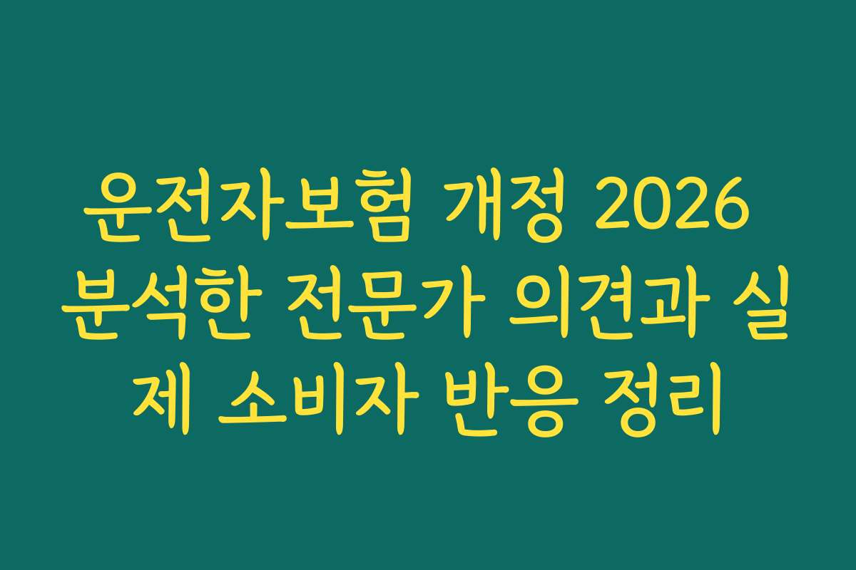 운전자보험 개정 2026 분석한 전문가 의견과 실제 소비자 반응 정리