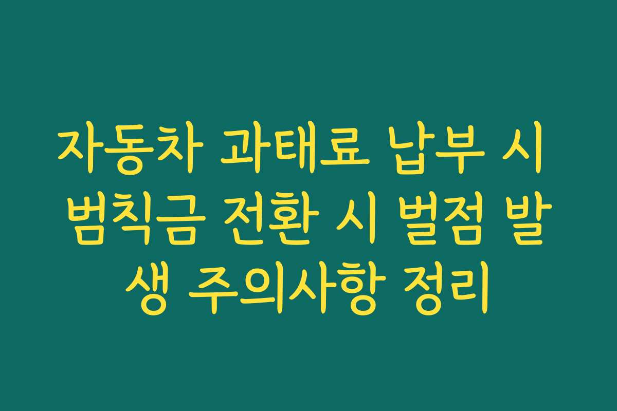 자동차 과태료 납부 시 범칙금 전환 시 벌점 발생 주의사항 정리