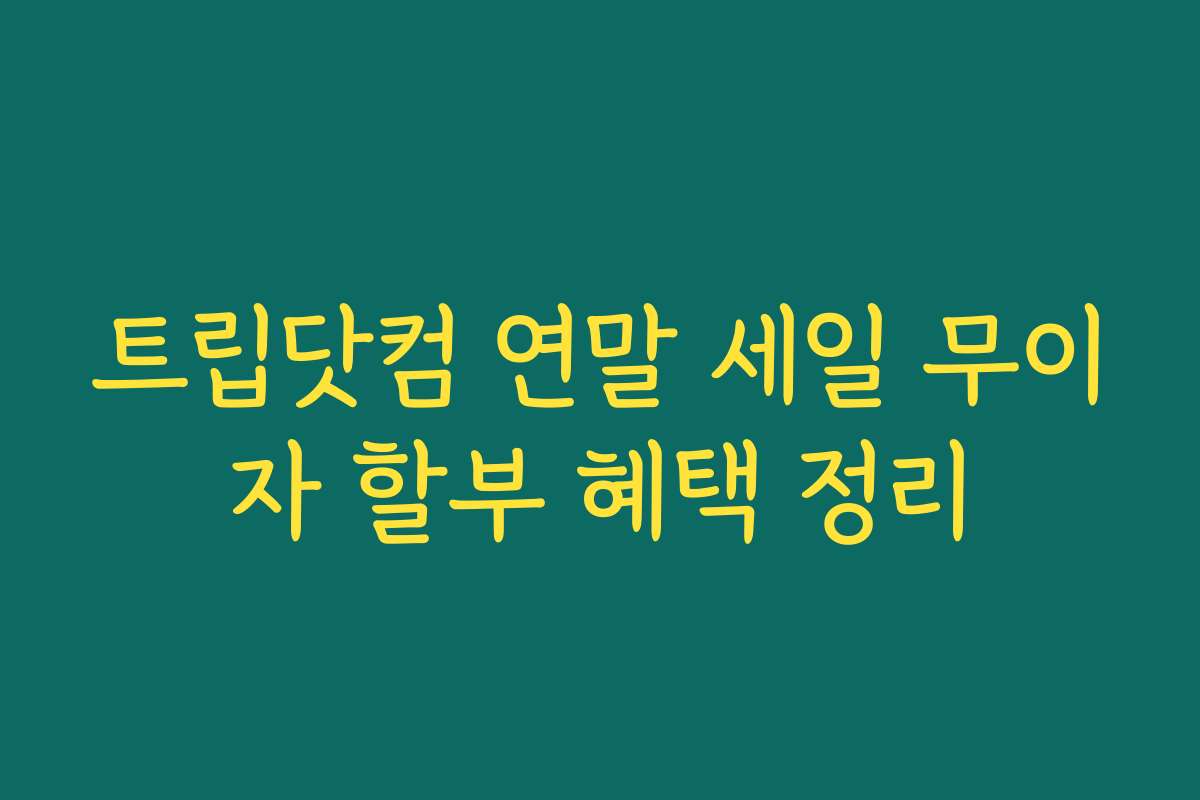 트립닷컴 연말 세일 무이자 할부 혜택 정리