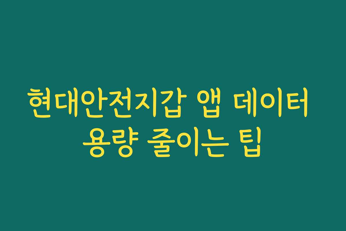 현대안전지갑 앱 데이터 용량 줄이는 팁
