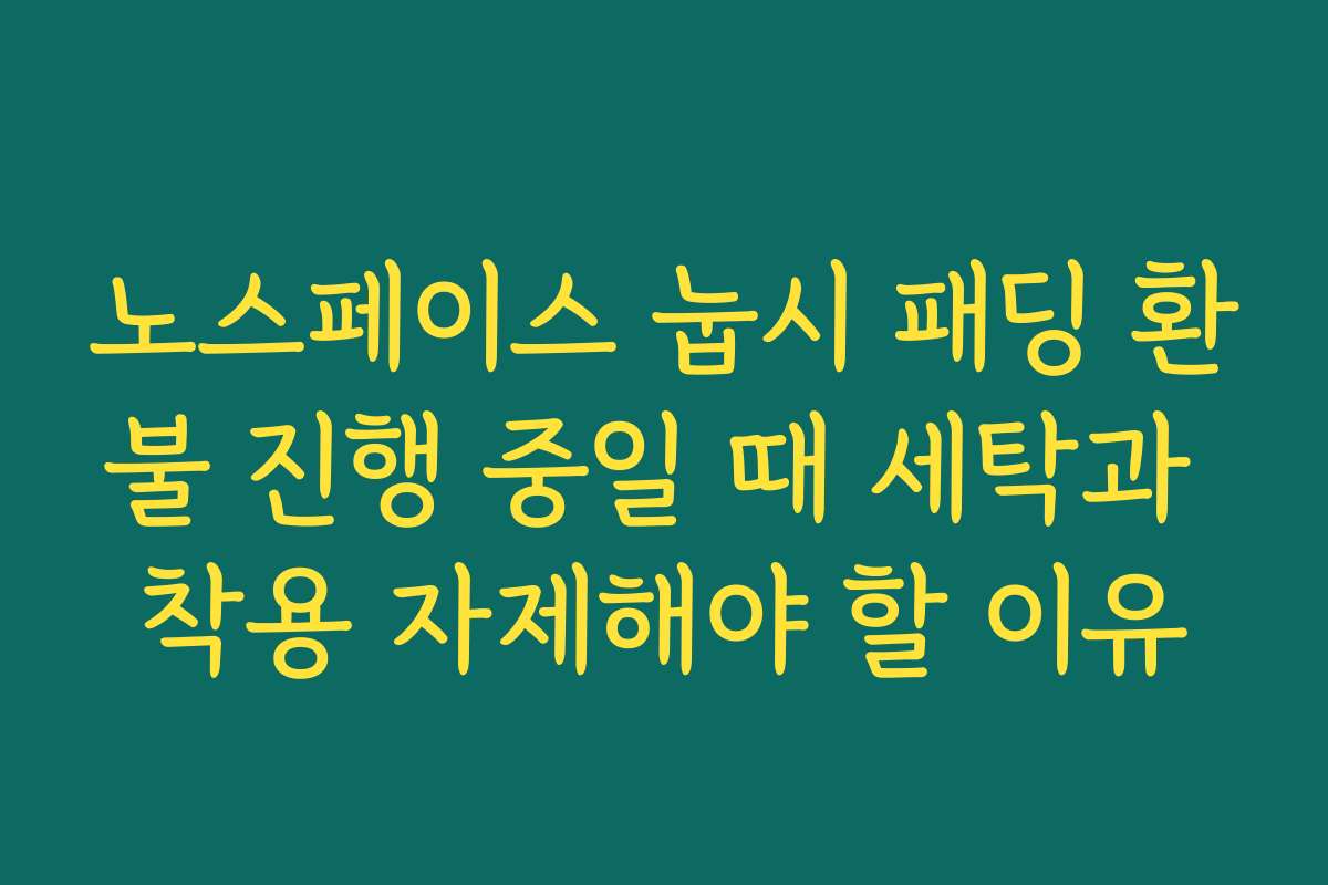 노스페이스 눕시 패딩 환불 진행 중일 때 세탁과 착용 자제해야 할 이유