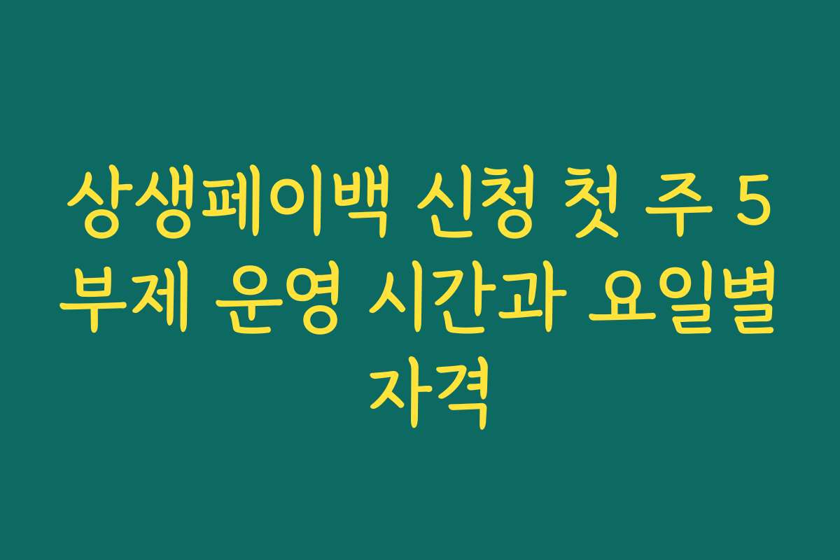 상생페이백 신청 첫 주 5부제 운영 시간과 요일별 자격