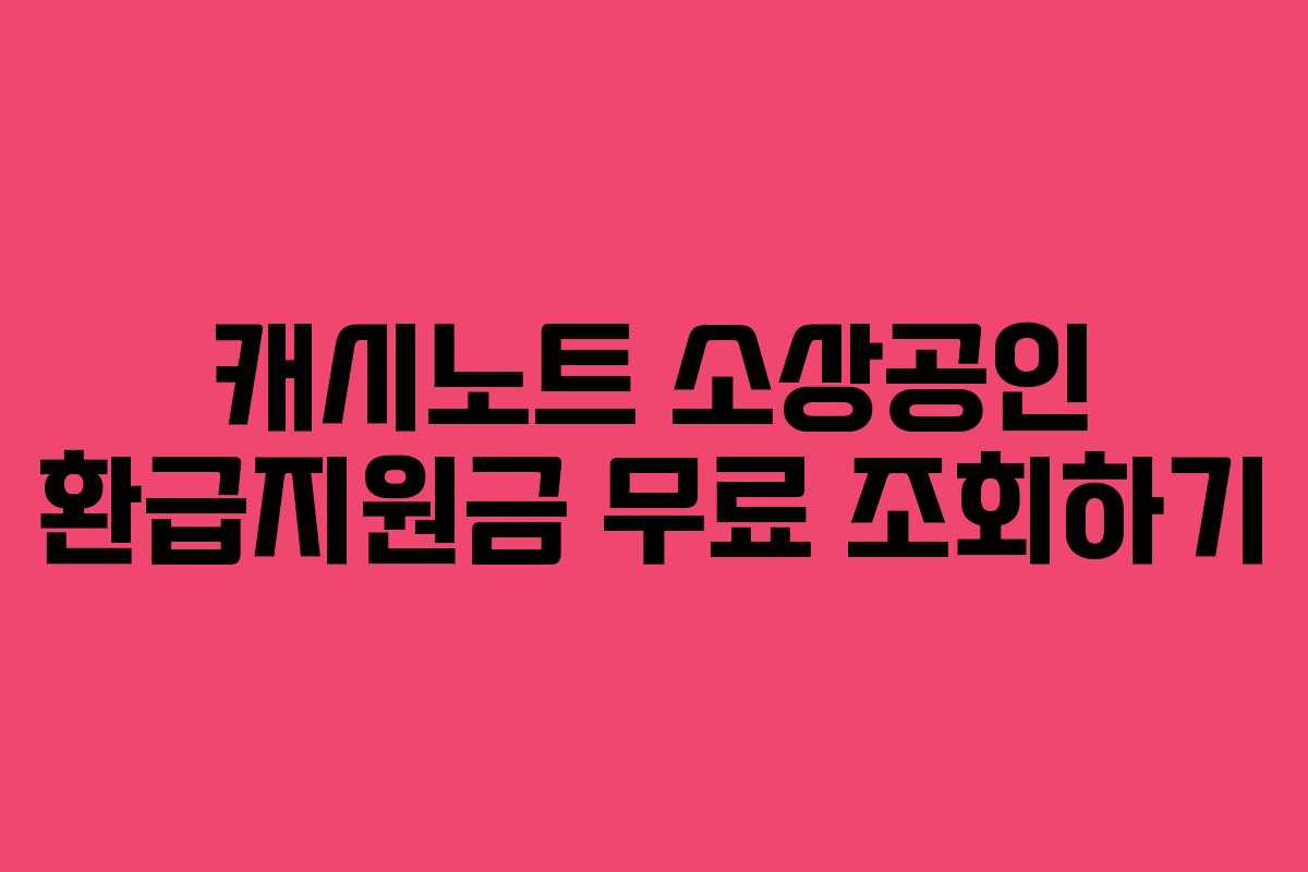 캐시노트 소상공인 환급지원금 무료 조회하기