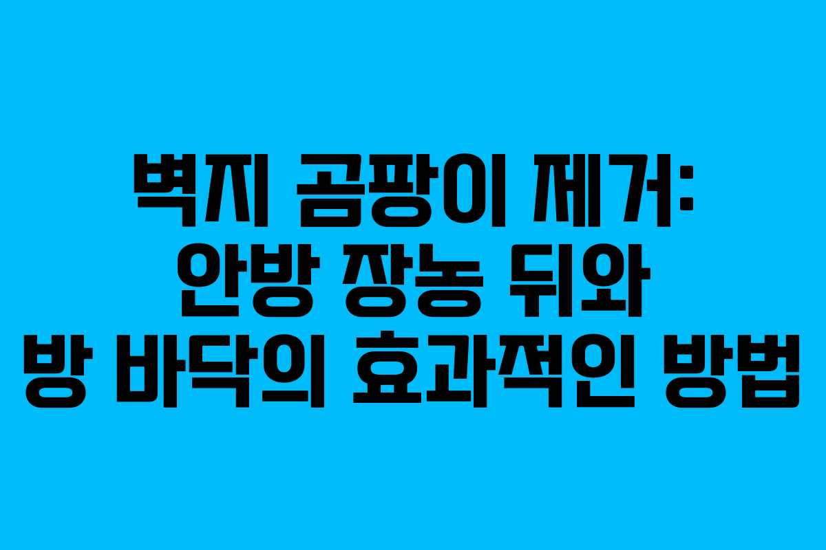 벽지 곰팡이 제거: 안방 장농 뒤와 방 바닥의 효과적인 방법
