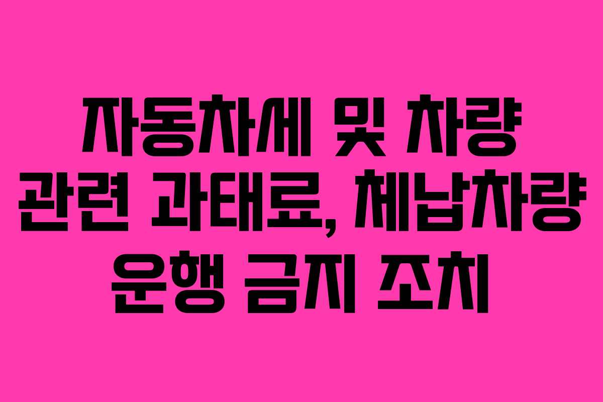 자동차세 및 차량 관련 과태료, 체납차량 운행 금지 조치