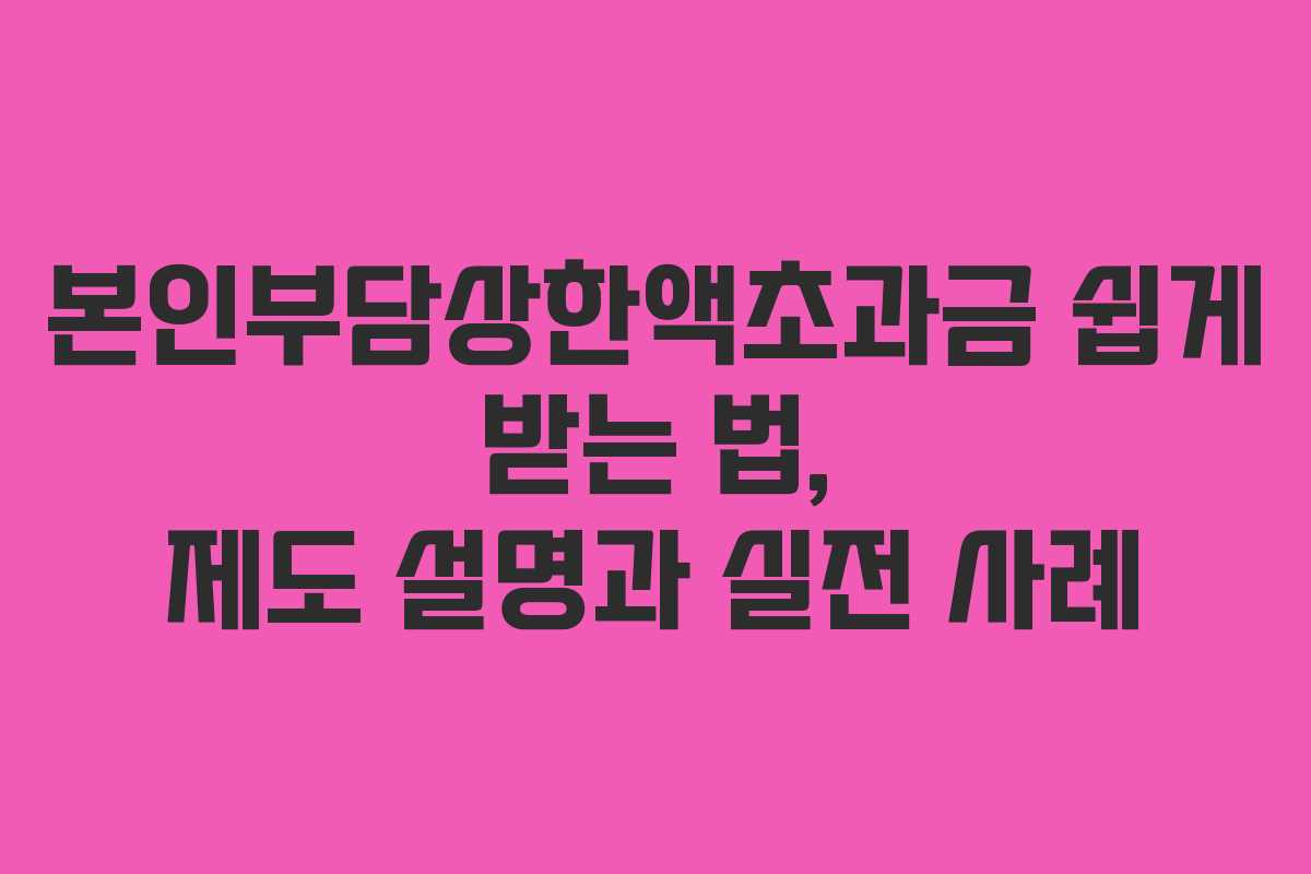 본인부담상한액초과금 쉽게 받는 법, 제도 설명과 실전 사례