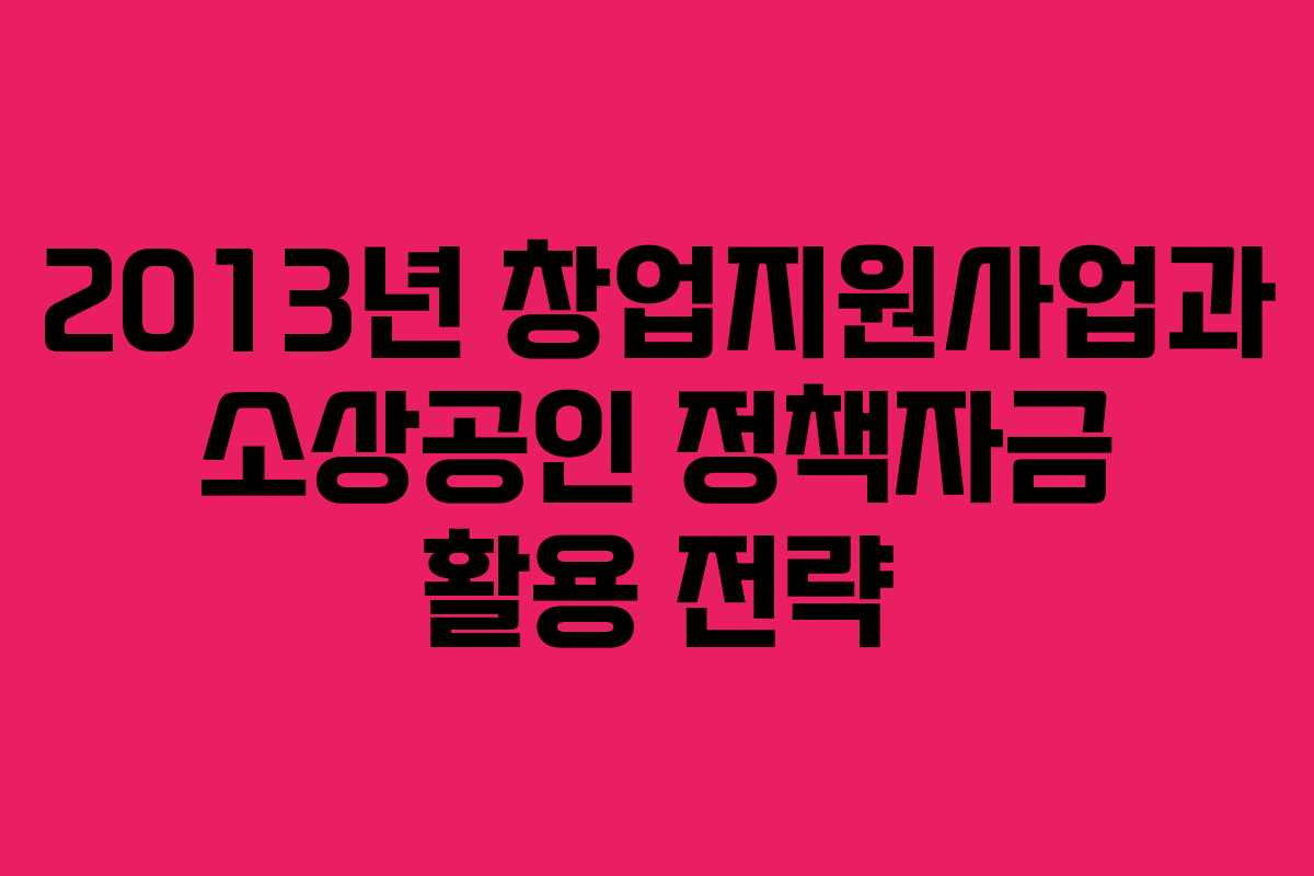 2013년 창업지원사업과 소상공인 정책자금 활용 전략