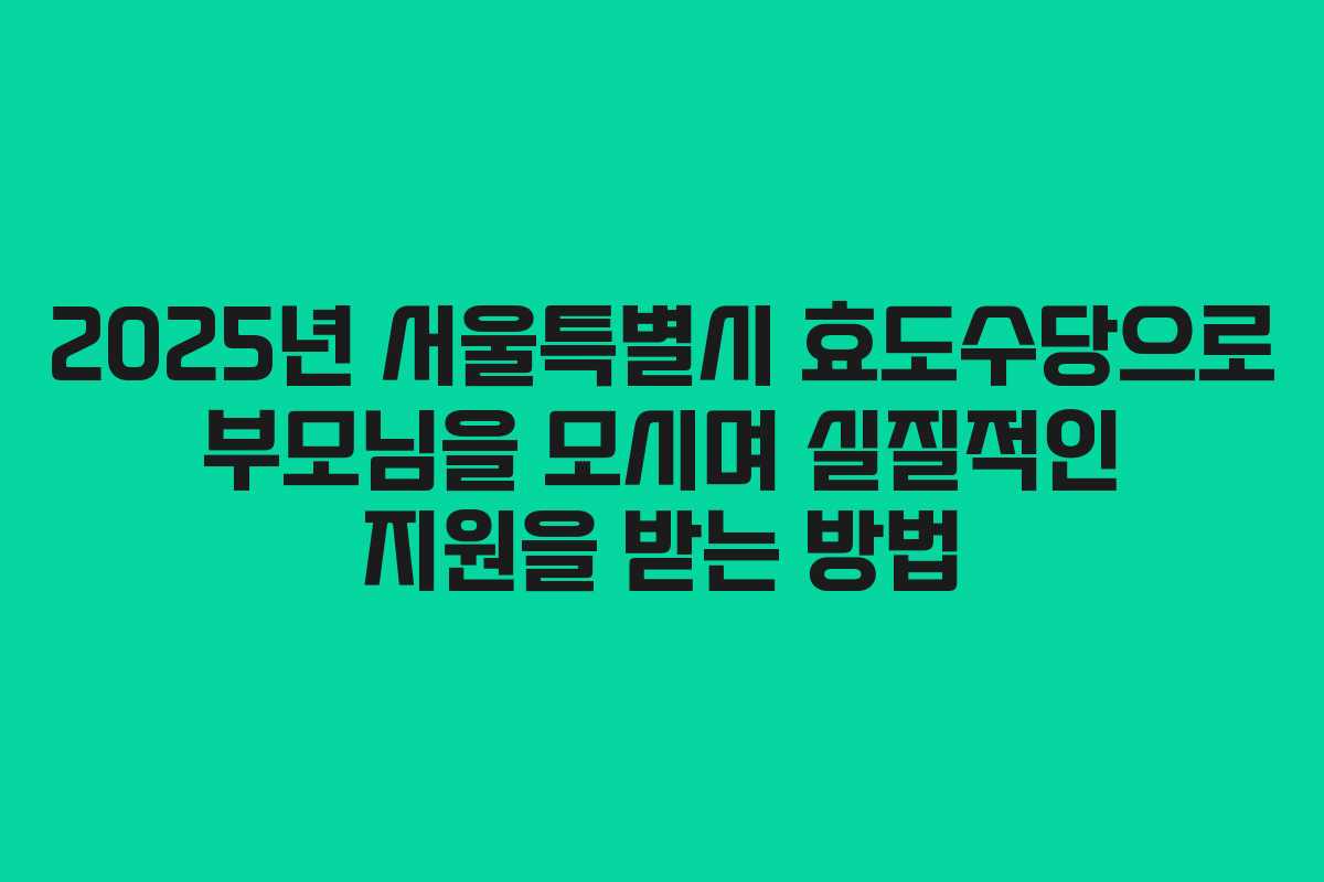2025년 서울특별시 효도수당으로 부모님을 모시며 실질적인 지원을 받는 방법