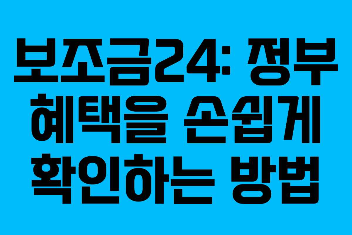 보조금24: 정부 혜택을 손쉽게 확인하는 방법