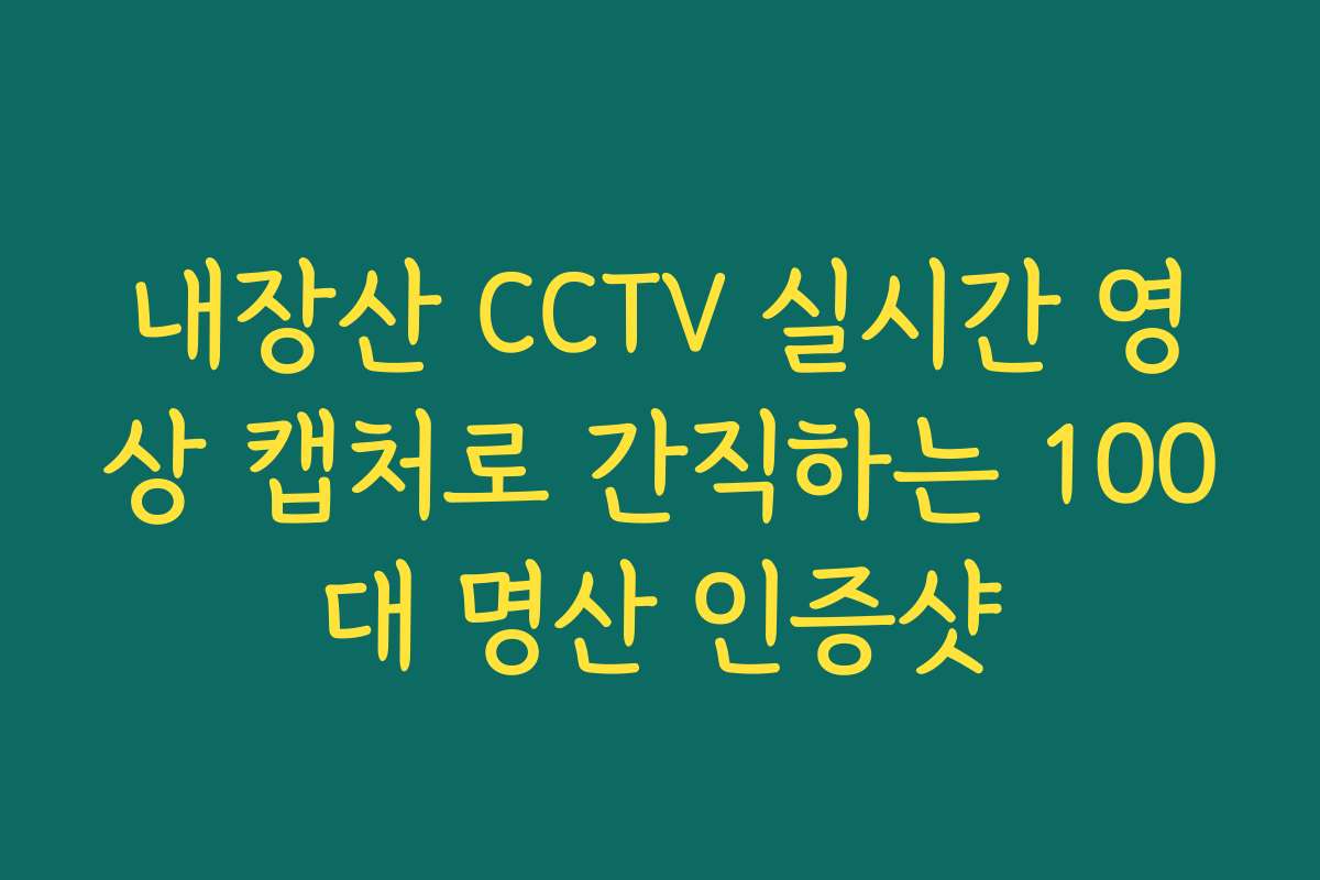 내장산 CCTV 실시간 영상 캡처로 간직하는 100대 명산 인증샷