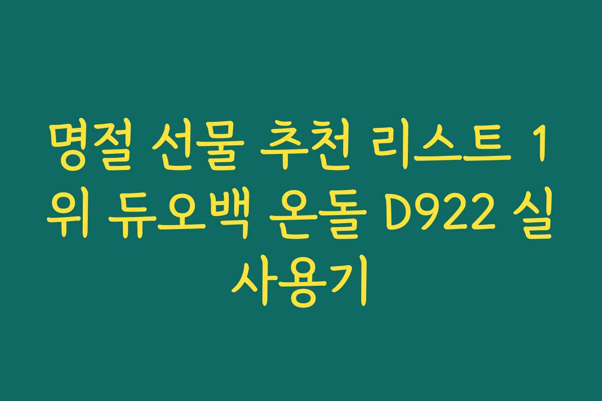 명절 선물 추천 리스트 1위 듀오백 온돌 D922 실사용기