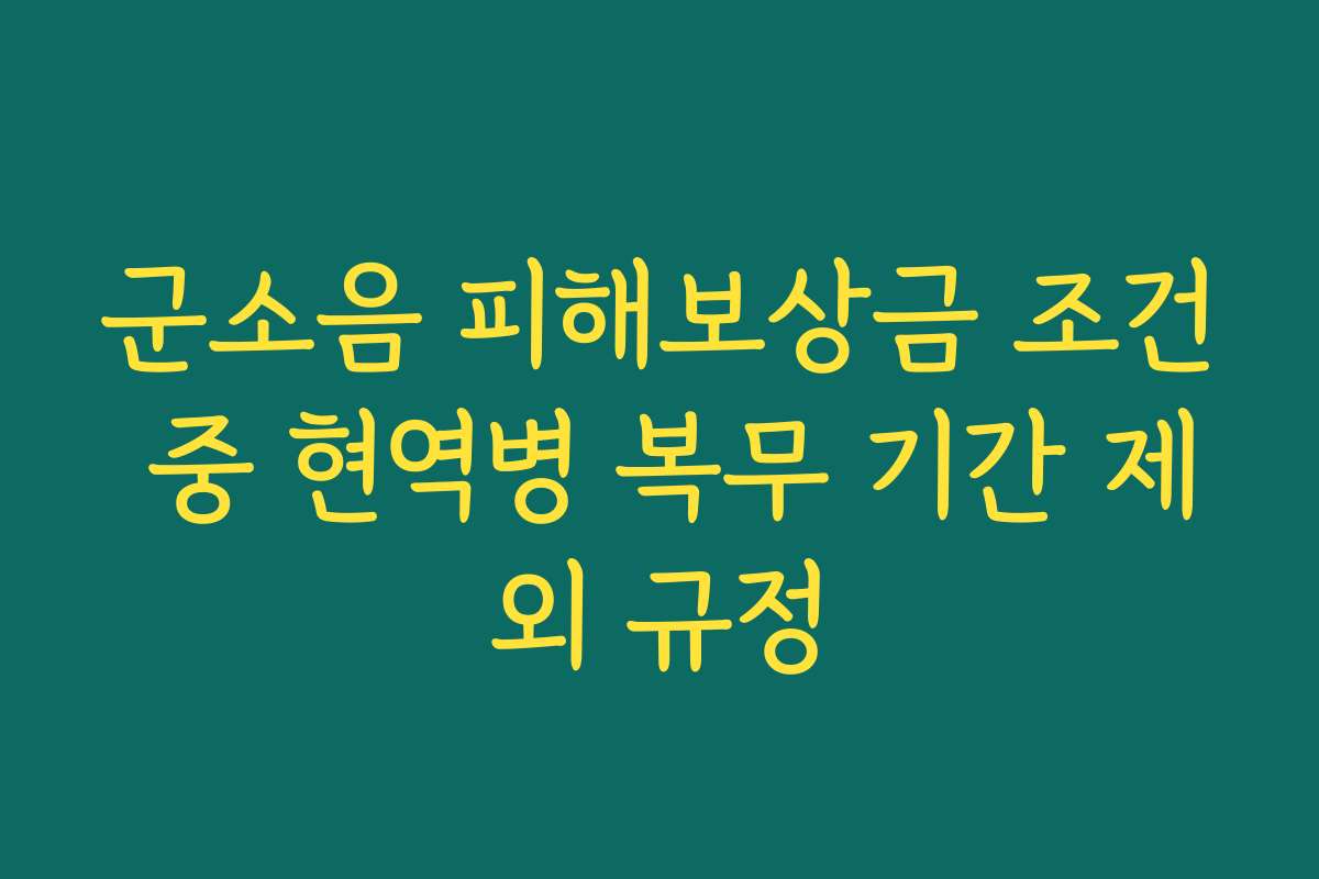 군소음 피해보상금 조건 중 현역병 복무 기간 제외 규정