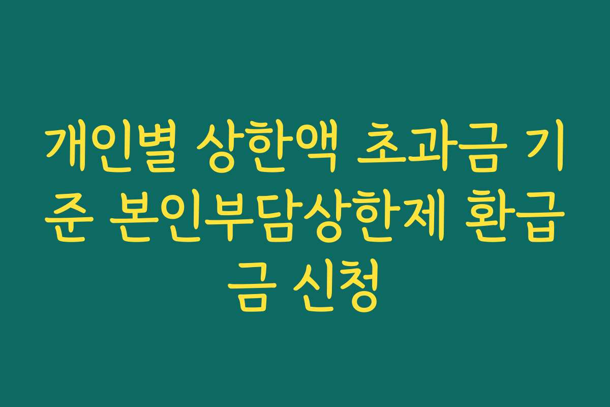 개인별 상한액 초과금 기준 본인부담상한제 환급금 신청