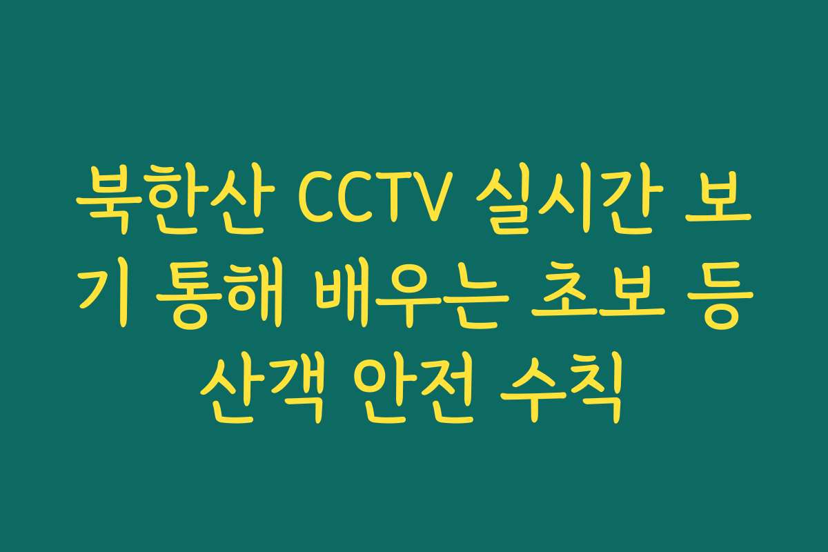 북한산 CCTV 실시간 보기 통해 배우는 초보 등산객 안전 수칙