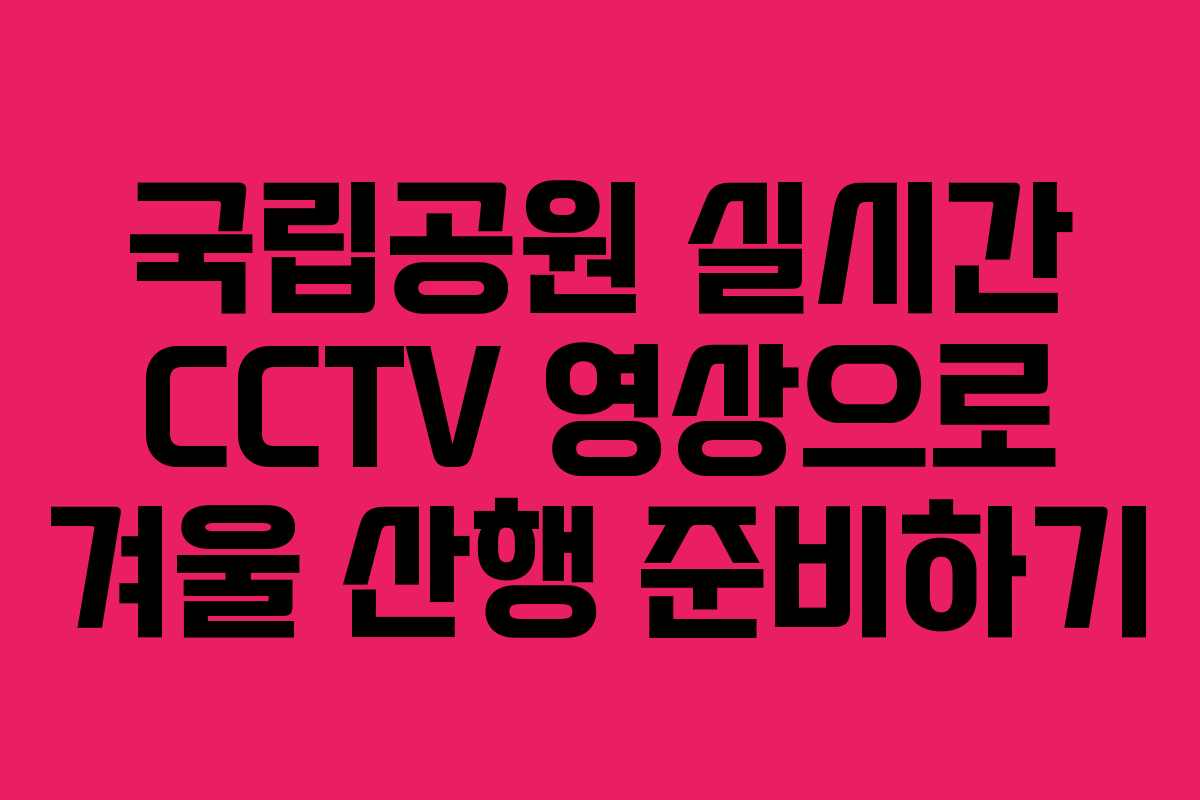 국립공원 실시간 CCTV 영상으로 겨울 산행 준비하기