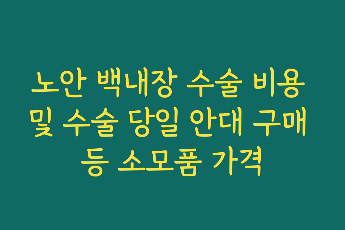 노안 백내장 수술 비용 및 수술 당일 안대 구매 등 소모품 가격