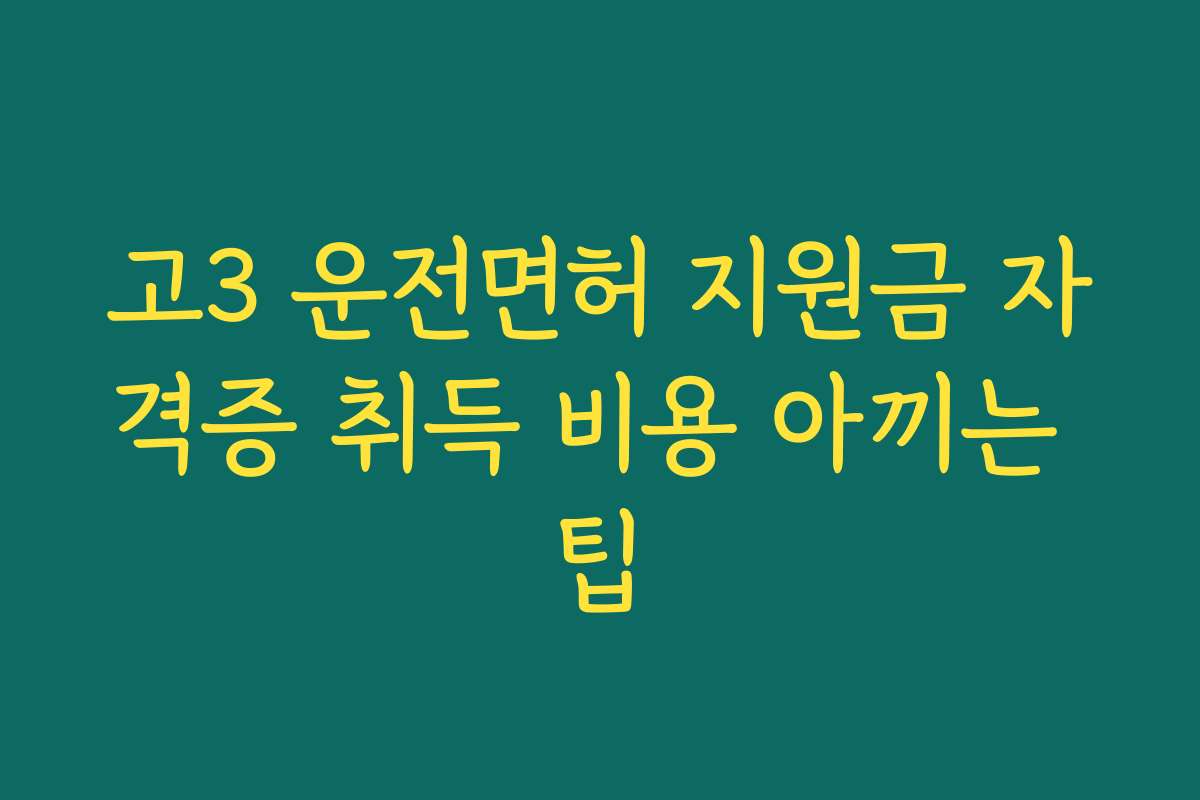 고3 운전면허 지원금 자격증 취득 비용 아끼는 팁