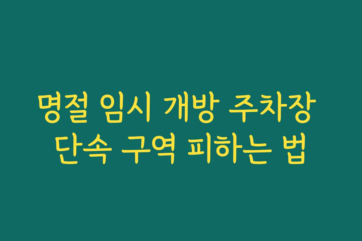 명절 임시 개방 주차장 단속 구역 피하는 법