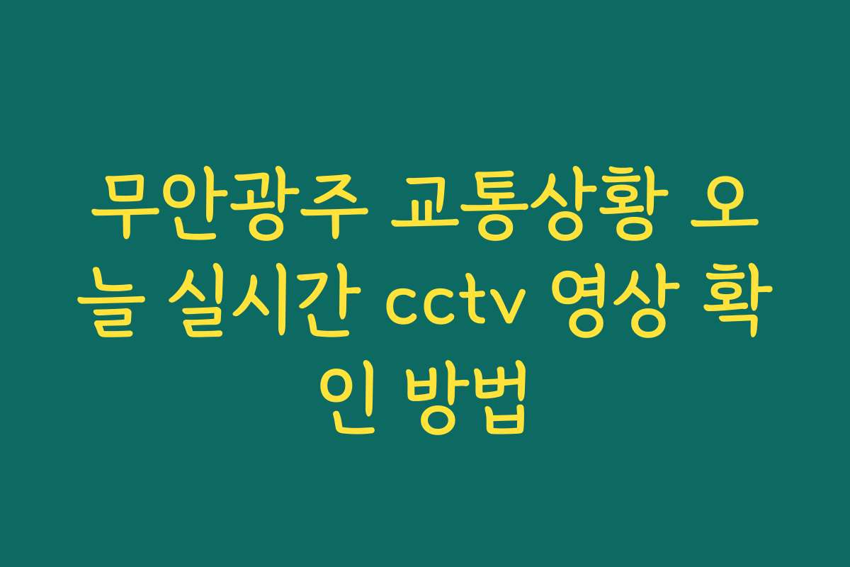 무안광주 교통상황 오늘 실시간 cctv 영상 확인 방법