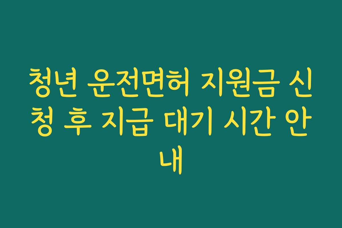 청년 운전면허 지원금 신청 후 지급 대기 시간 안내
