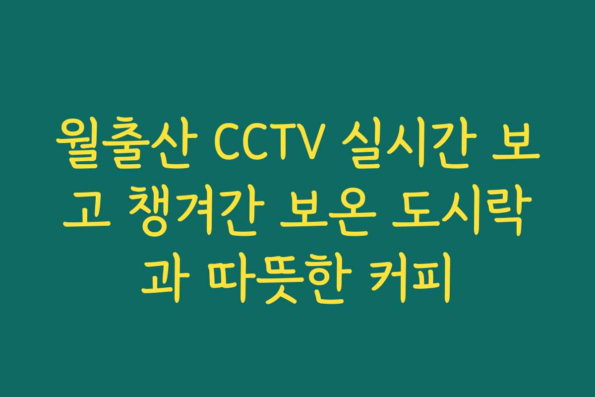월출산 CCTV 실시간 보고 챙겨간 보온 도시락과 따뜻한 커피