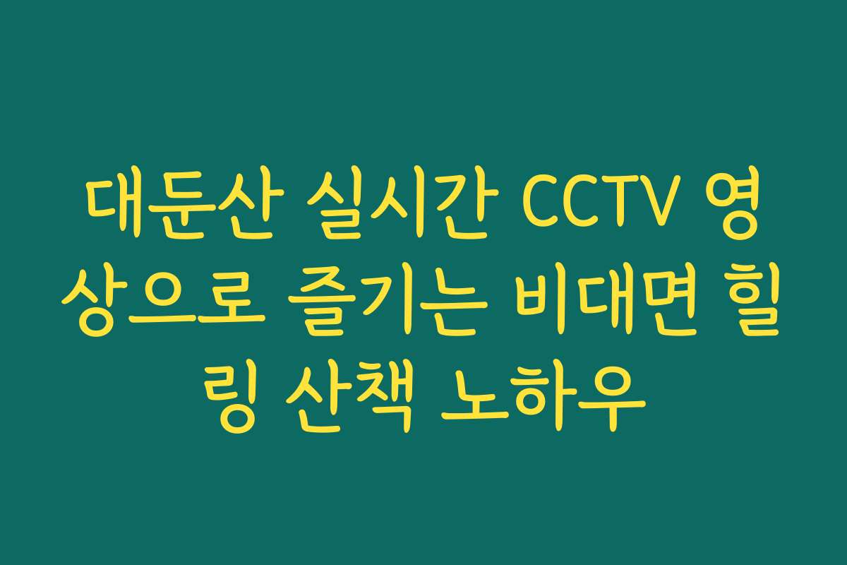 대둔산 실시간 CCTV 영상으로 즐기는 비대면 힐링 산책 노하우