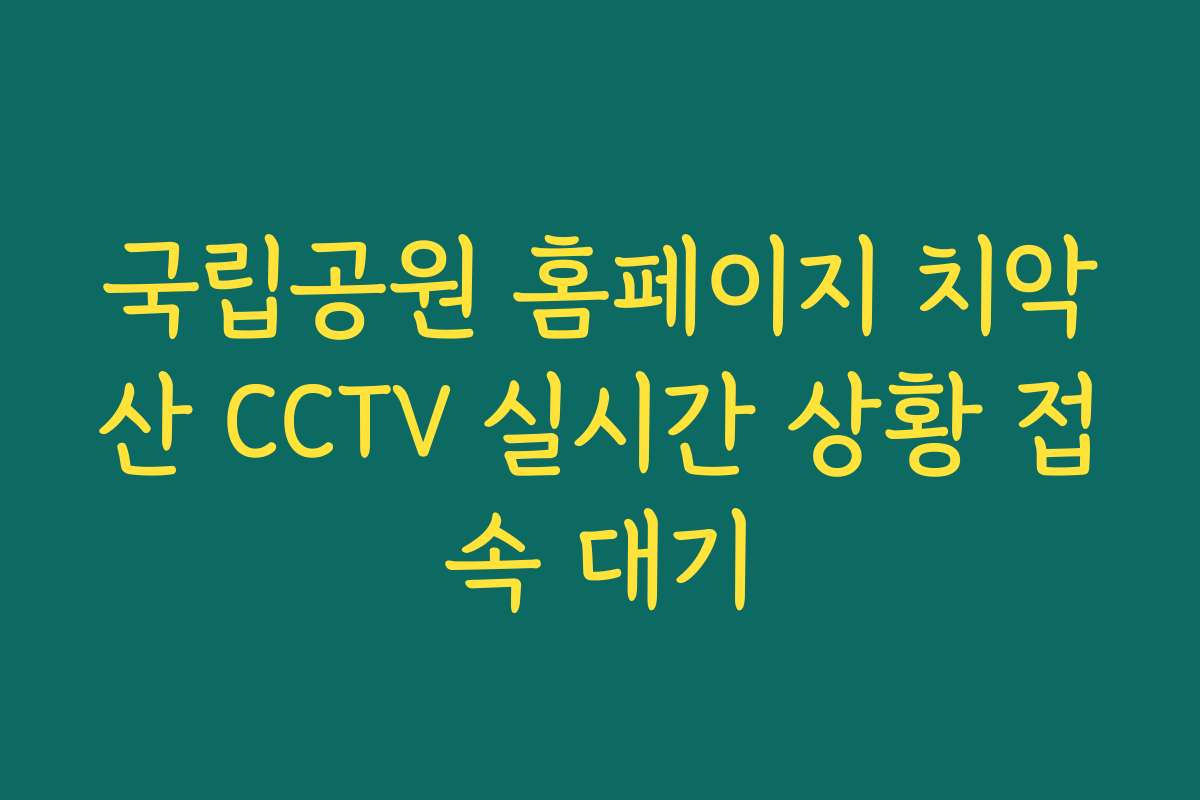 국립공원 홈페이지 치악산 CCTV 실시간 상황 접속 대기