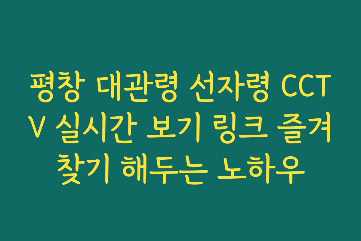 평창 대관령 선자령 CCTV 실시간 보기 링크 즐겨찾기 해두는 노하우
