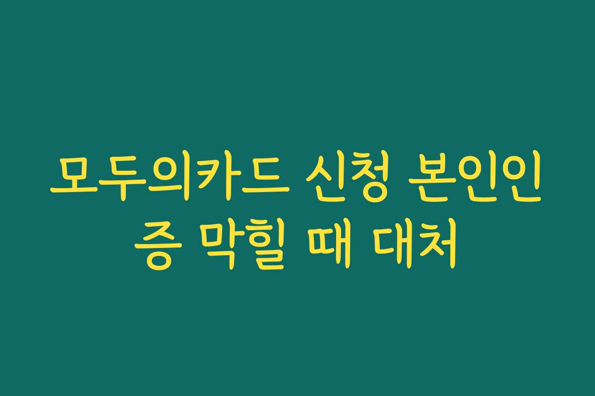 모두의카드 신청 본인인증 막힐 때 대처