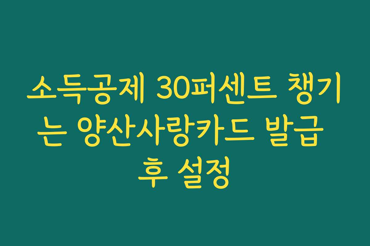 소득공제 30퍼센트 챙기는 양산사랑카드 발급 후 설정