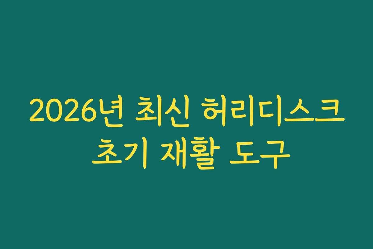2026년 최신 허리디스크 초기 재활 도구