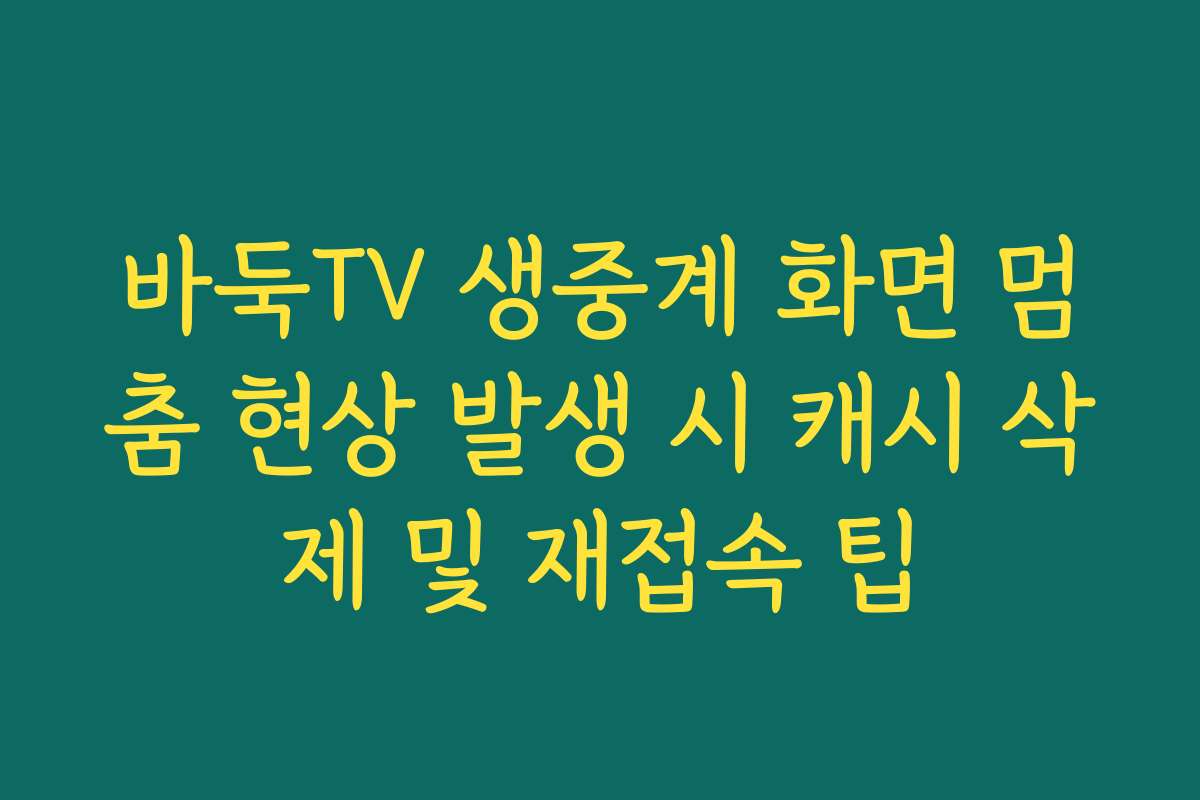 바둑TV 생중계 화면 멈춤 현상 발생 시 캐시 삭제 및 재접속 팁