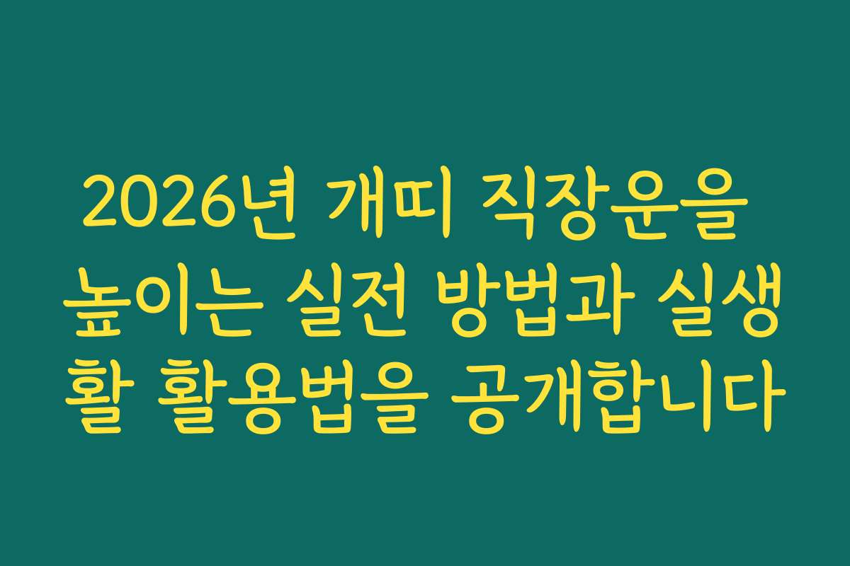 2026년 개띠 직장운을 높이는 실전 방법과 실생활 활용법을 공개합니다