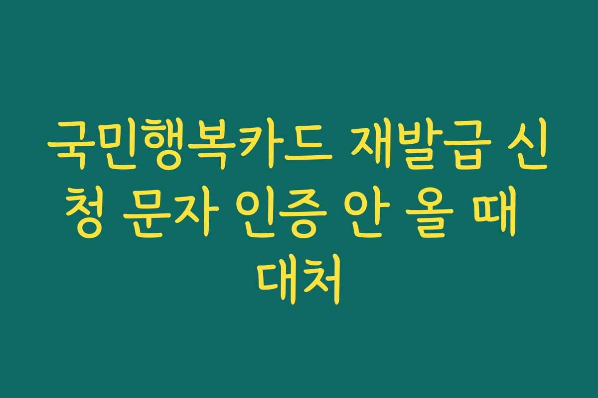 국민행복카드 재발급 신청 문자 인증 안 올 때 대처
