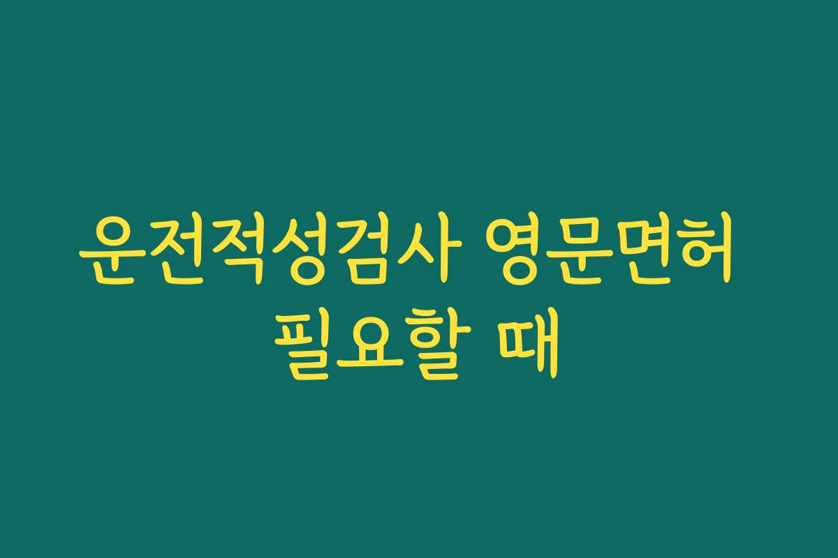 운전적성검사 영문면허 필요할 때