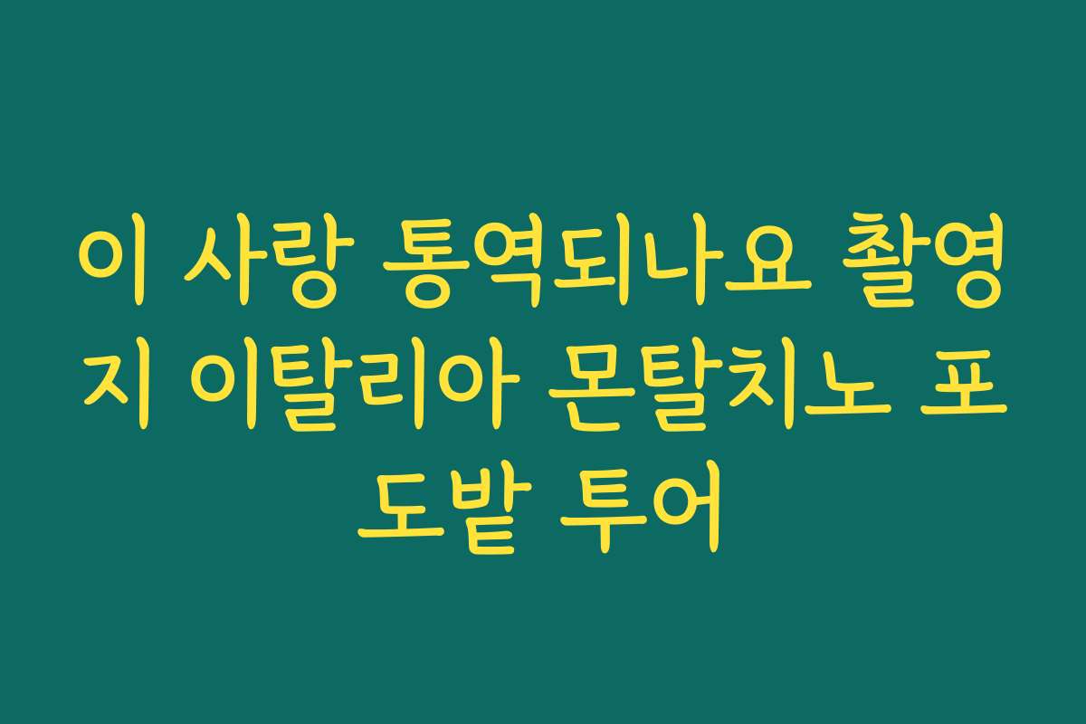 이 사랑 통역되나요 촬영지 이탈리아 몬탈치노 포도밭 투어