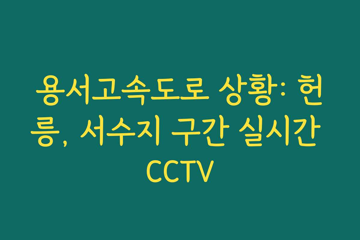 용서고속도로 상황: 헌릉, 서수지 구간 실시간 CCTV