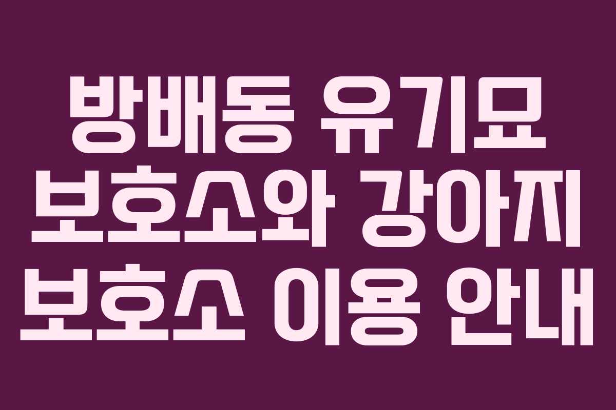 방배동 유기묘 보호소와 강아지 보호소 이용 안내