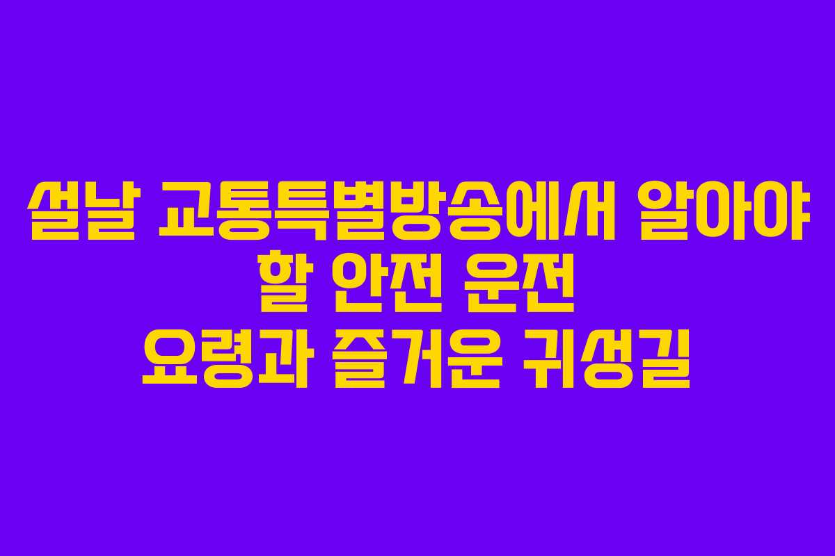 설날 교통특별방송에서 알아야 할 안전 운전 요령과 즐거운 귀성길