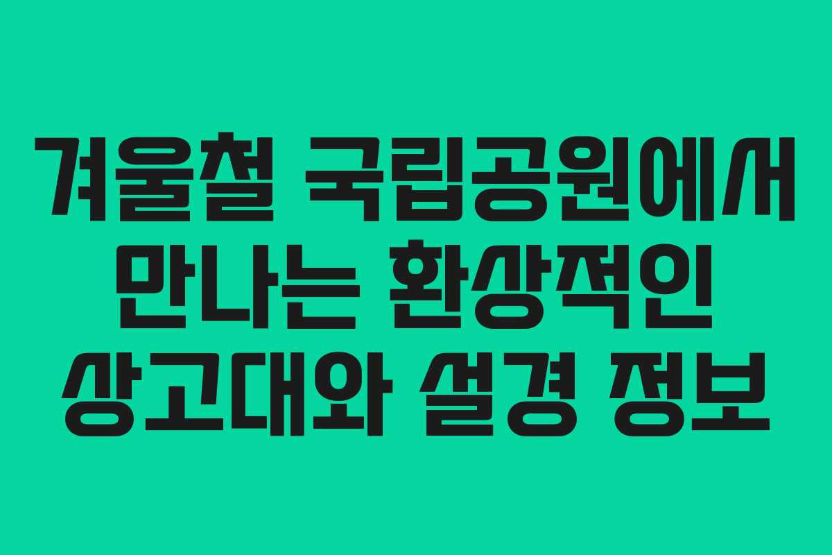 겨울철 국립공원에서 만나는 환상적인 상고대와 설경 정보