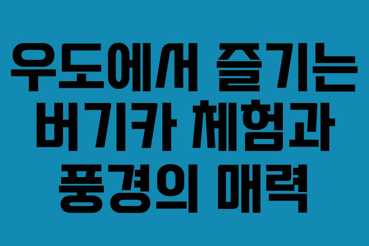 우도에서 즐기는 버기카 체험과 풍경의 매력