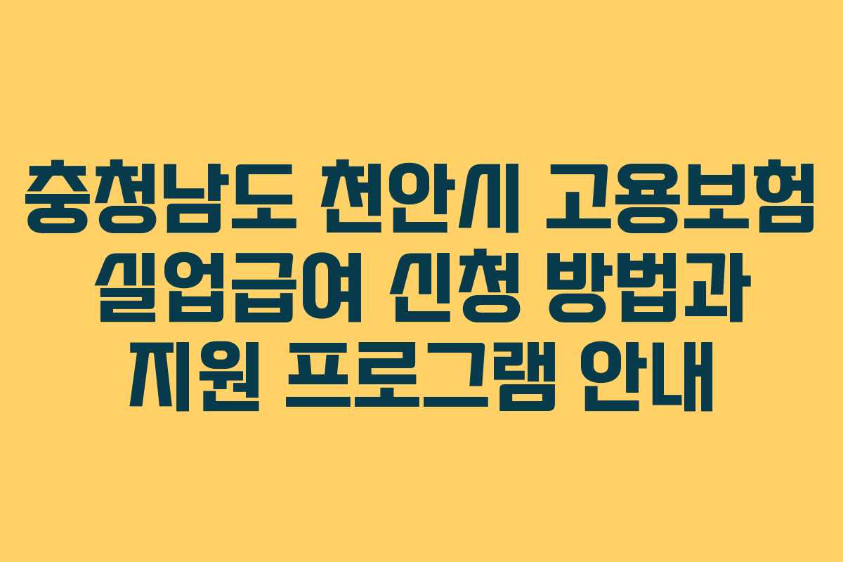 충청남도 천안시 고용보험 실업급여 신청 방법과 지원 프로그램 안내
