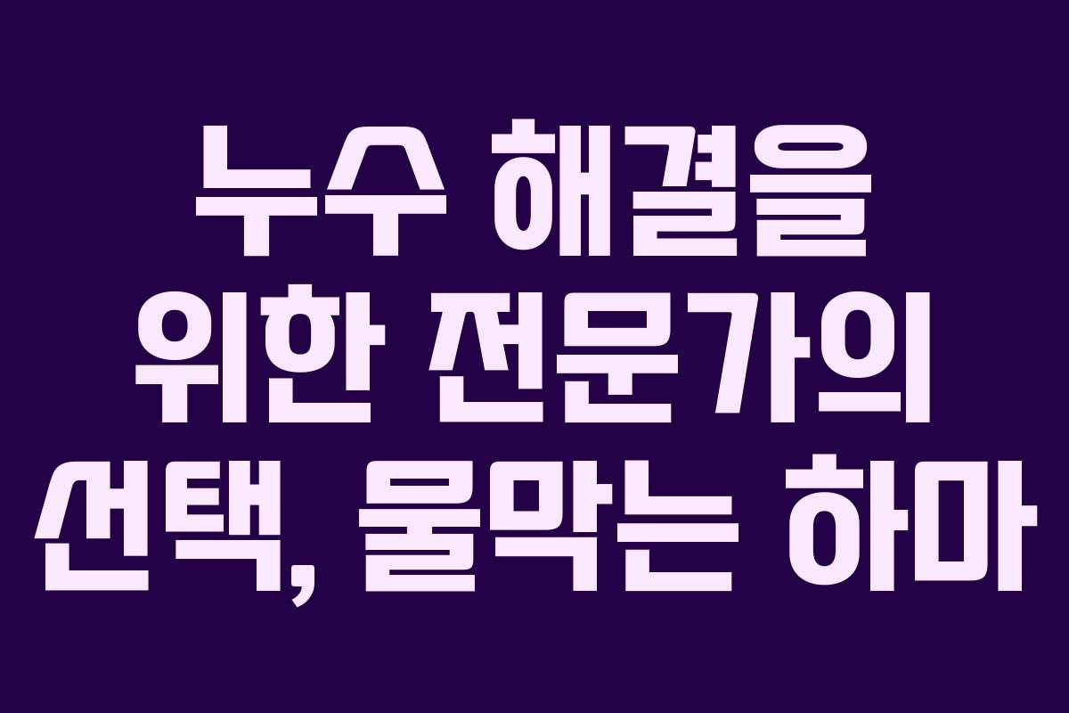 누수 해결을 위한 전문가의 선택, 물막는 하마