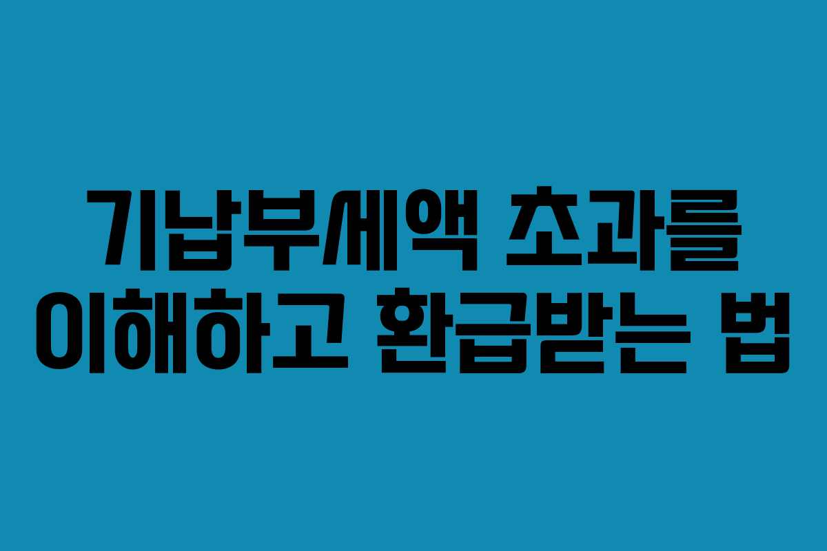 기납부세액 초과를 이해하고 환급받는 법