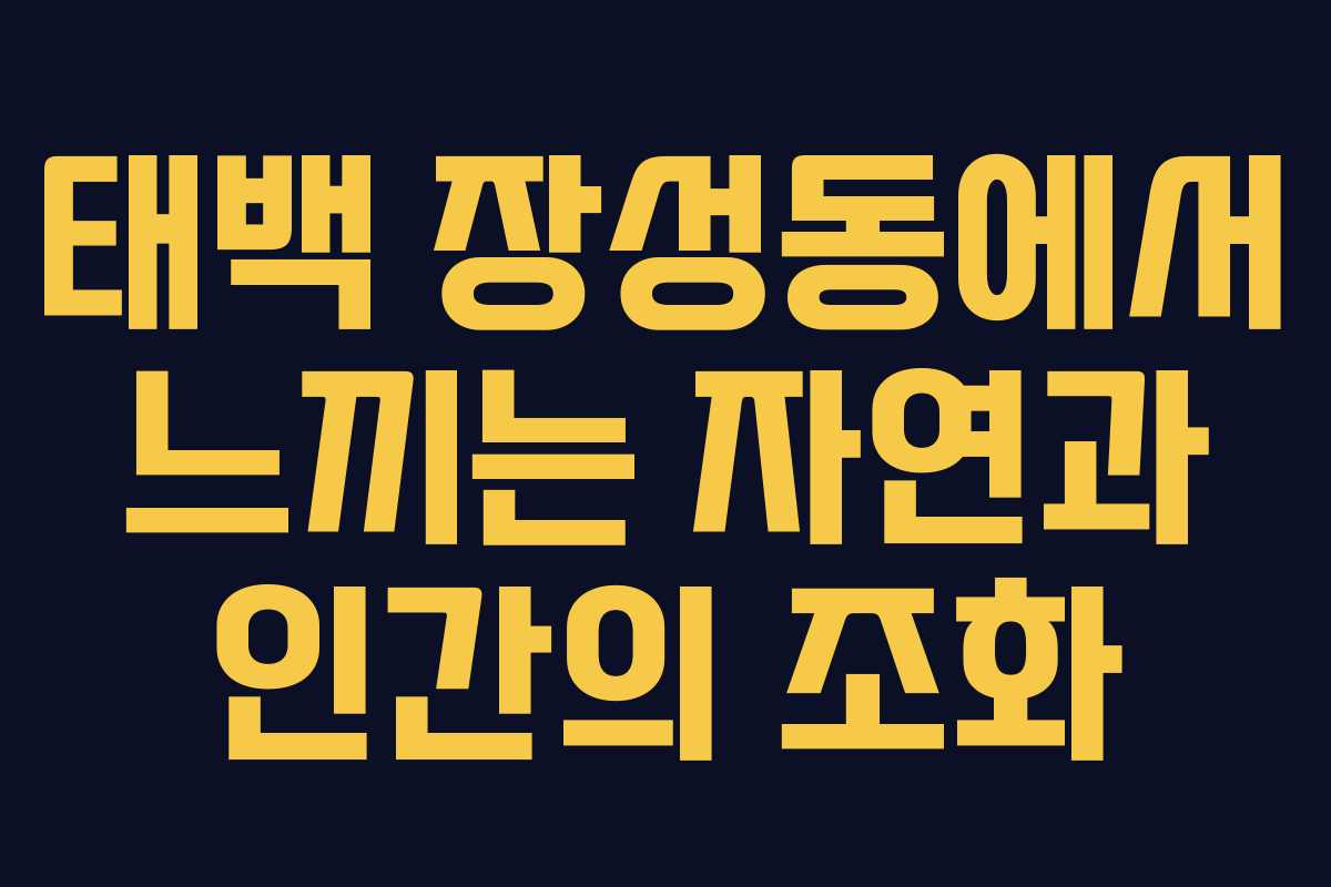 태백 장성동에서 느끼는 자연과 인간의 조화