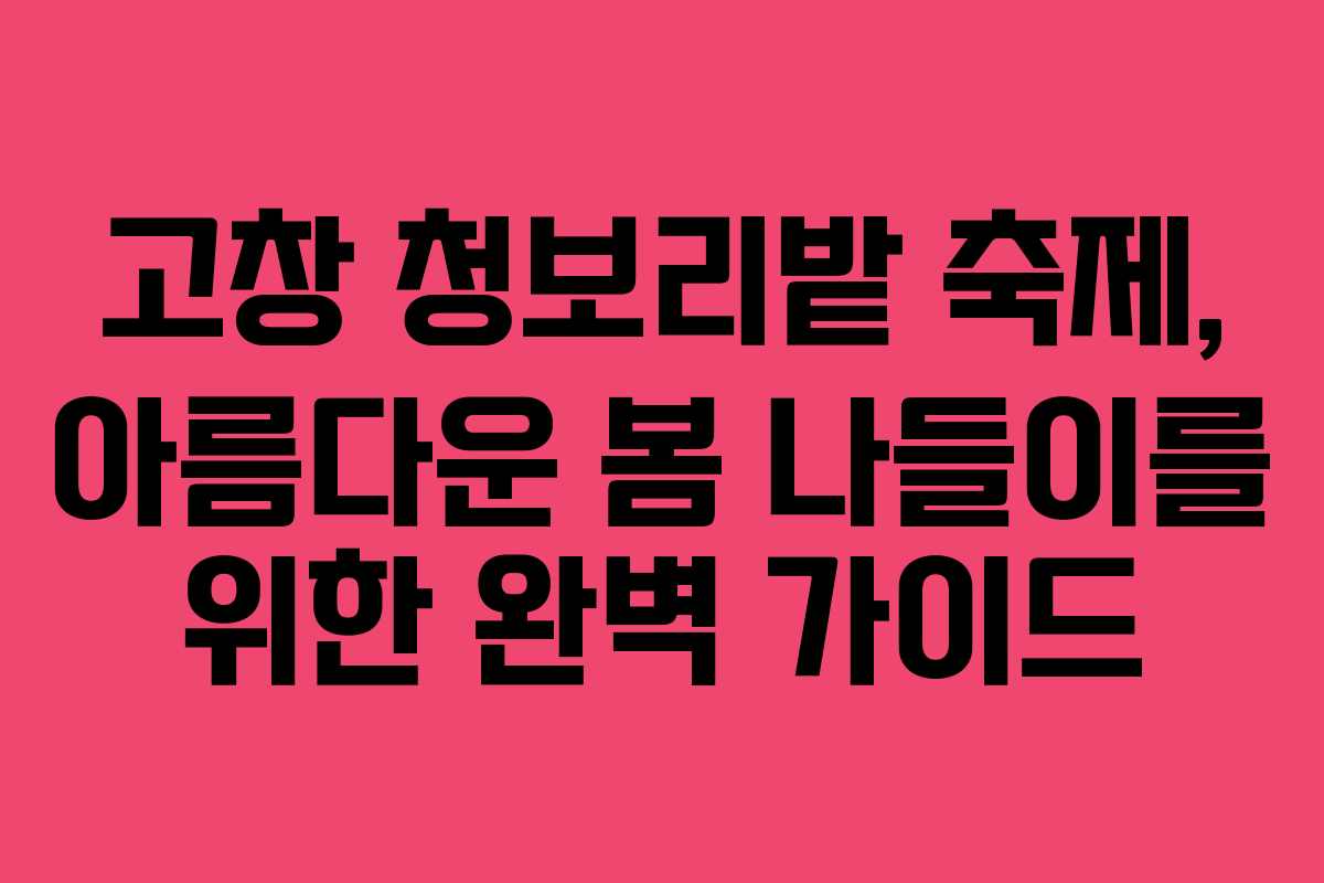 고창 청보리밭 축제, 아름다운 봄 나들이를 위한 완벽 가이드
