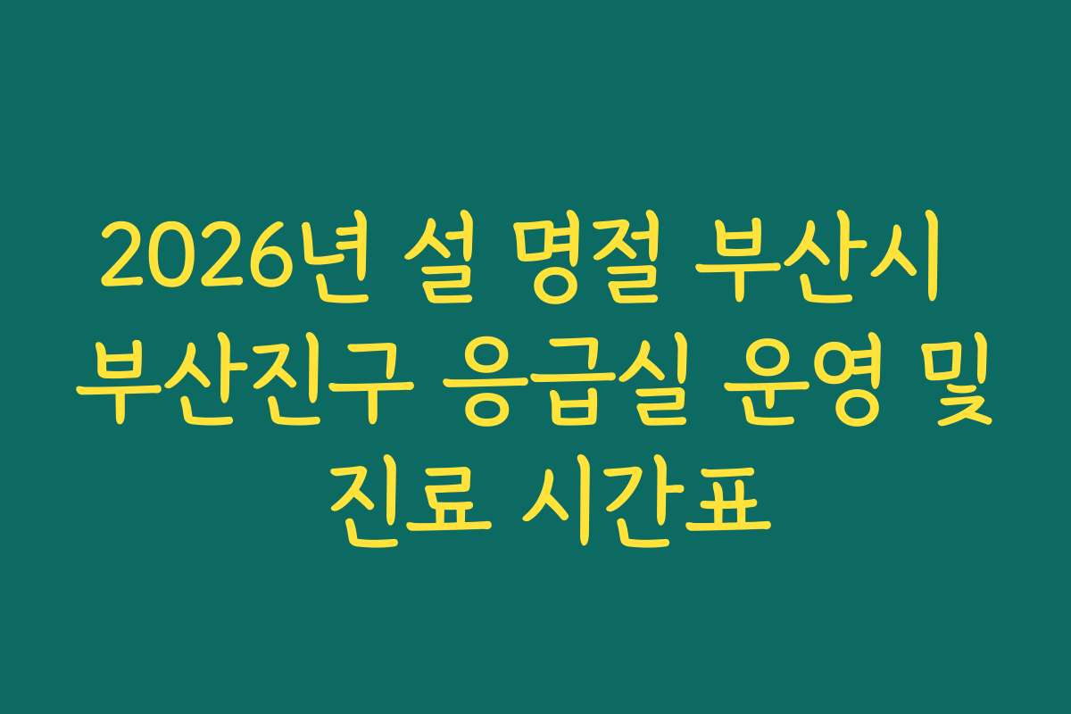 2026년 설 명절 부산시 부산진구 응급실 운영 및 진료 시간표