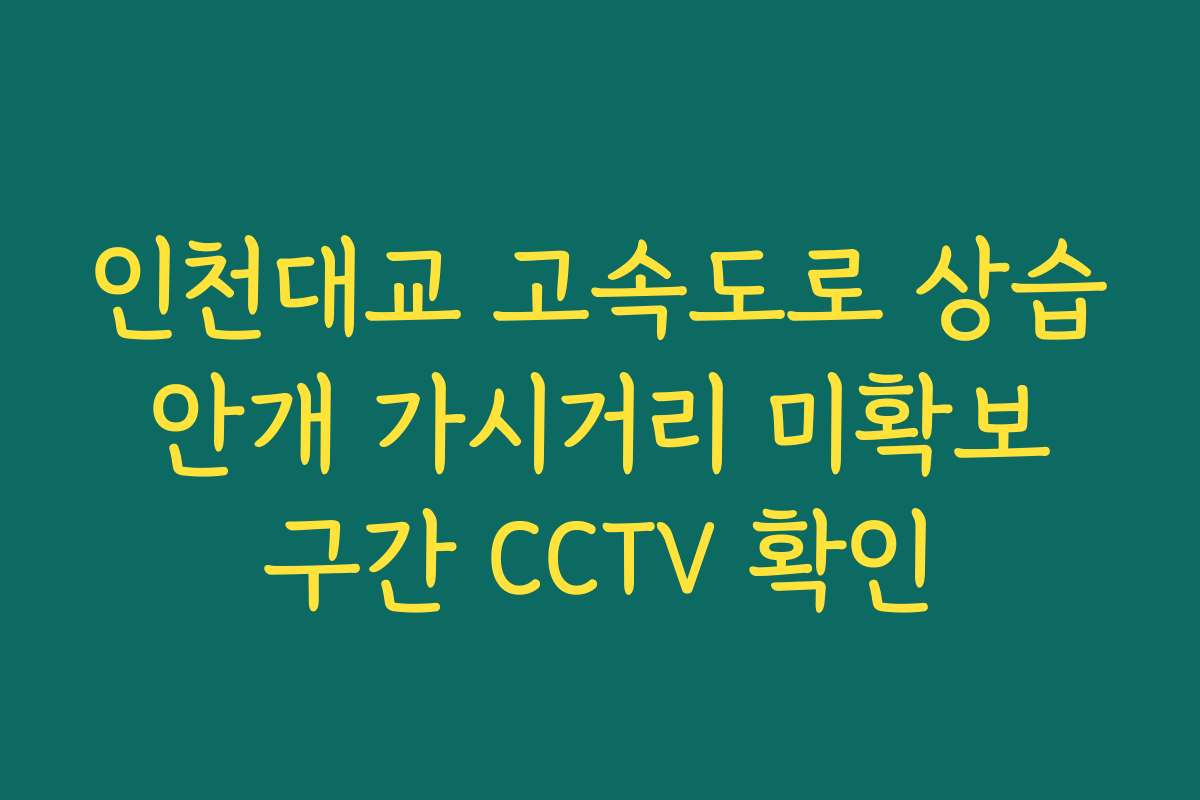 인천대교 고속도로 상습 안개 가시거리 미확보 구간 CCTV 확인