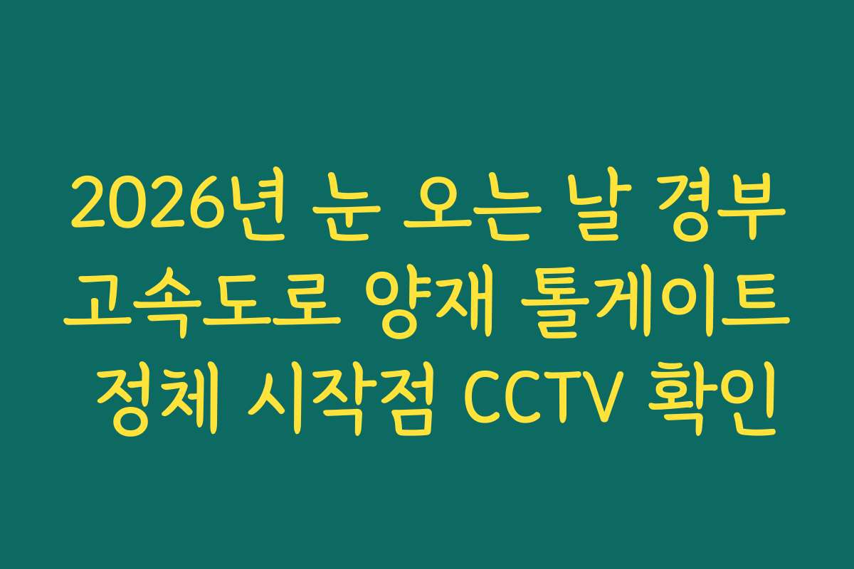 2026년 눈 오는 날 경부고속도로 양재 톨게이트 정체 시작점 CCTV 확인