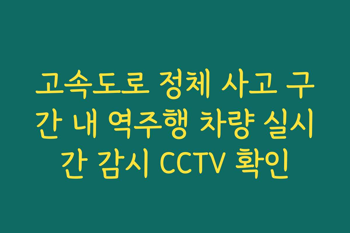 고속도로 정체 사고 구간 내 역주행 차량 실시간 감시 CCTV 확인